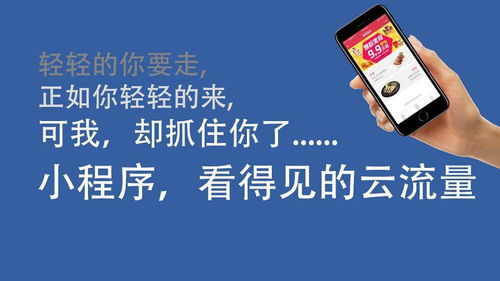 濰坊專業(yè)定制小程序開(kāi)發(fā)制作